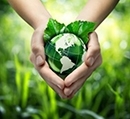  Consumo Sustent�vel e Veganismo
